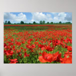 Poppy Fields posters