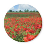 Poppy Fields magnets