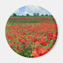 Poppy Fields Refrigerator Magnet