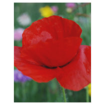 Poppy flower and meaning custom flyer