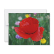 Poppy flower and meaning custom invitation