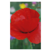 Poppy flower and meaning custom stationery