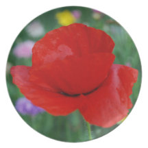 Poppy flower and meaning dinner plate