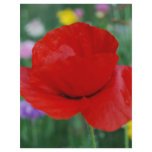 Poppy flower and meaning flyers