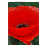Poppy flower and meaning greeting card