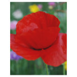 Poppy flower and meaning letterhead design