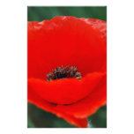 Poppy flower and meaning stationery