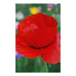 Poppy flower and meaning stationery design