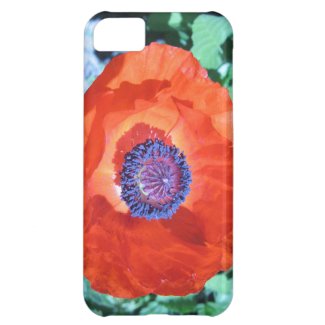 Poppy Flower Cover For iPhone 5C