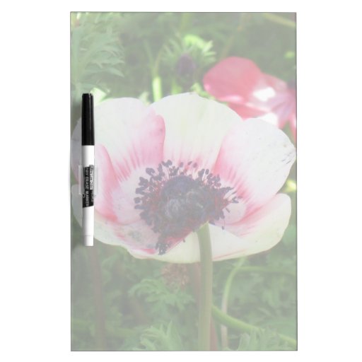 Poppy Flower DryErase Whiteboards Zazzle