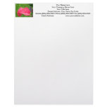 Poppy Flower Letterhead Custom Pink Poppies