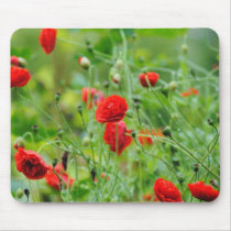 Poppy flower mousepad