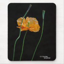 Poppy Flower, Mousepad. by TrailsThroughNature Poppy Flower, Mousepad.