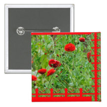 Poppy flowers button