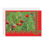 Poppy flowers personalized invite