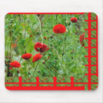 Poppy flowers mousepad
