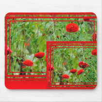 Poppy flowers mousepads
