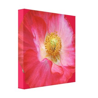 Poppy Gallery Wrapped Canvas