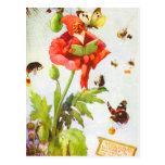 Poppy Gnome Post Cards