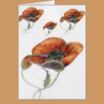 Poppy cards