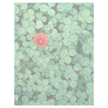 Poppy head amongst clover customized letterhead