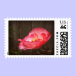 Poppy housewarming stamp stamps