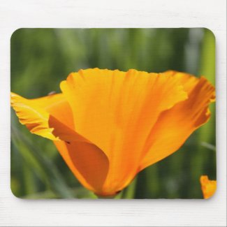 Poppy in Orange mousepad