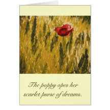 Poppy in the Wheat Field Greeting Cards