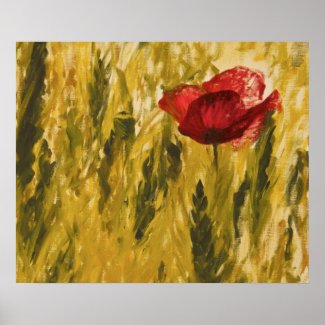 Poppy in the Wheat Field print