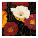 poppy Large posters by luvyourdog11 poppy Large posters