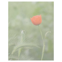 Poppy letterhead