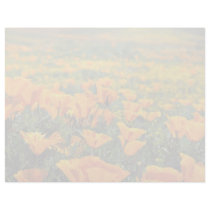 Poppy macro  flowers custom letterhead