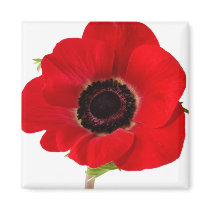 Poppy magnet by Rmunnie Poppy magnet