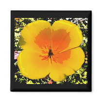 Poppy Magnet