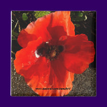 Poppy magnets by JenuArt Poppy magnets