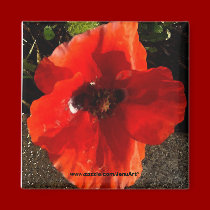 Poppy magnets by JenuArt Poppy magnets