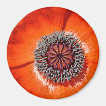 Poppy Magnet