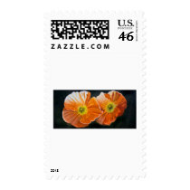 poppy-med-web postage