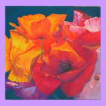 Poppy Medley Poster posters