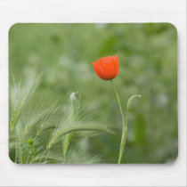 Poppy mousepads