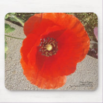 Poppy mousepads