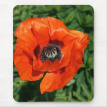 Poppy Mousepad
