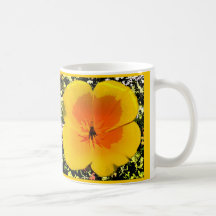 Poppy Mugs