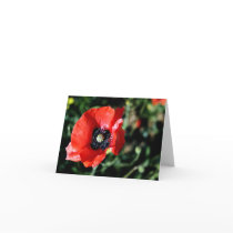 Poppy Note cards cards
