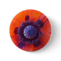 poppy,oriental red poppy buttons