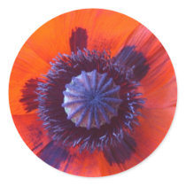 poppy,oriental red poppy stickers
