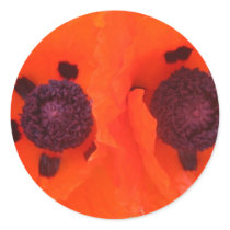 poppy,oriental stickers by pinkypetals poppy,oriental stickers