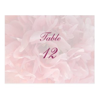 Poppy Petals Table Number