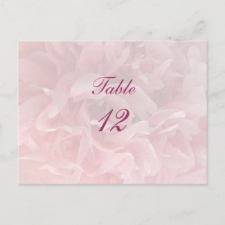 Poppy Petals Table Number Post Cards