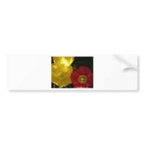 poppy,pink and yellow close up bumper stickers